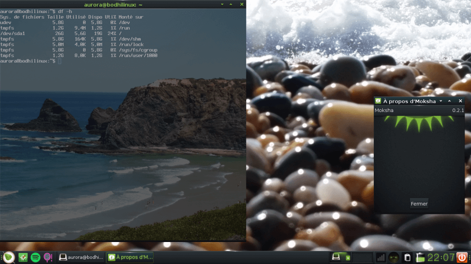Bodhi Linux Screenshot