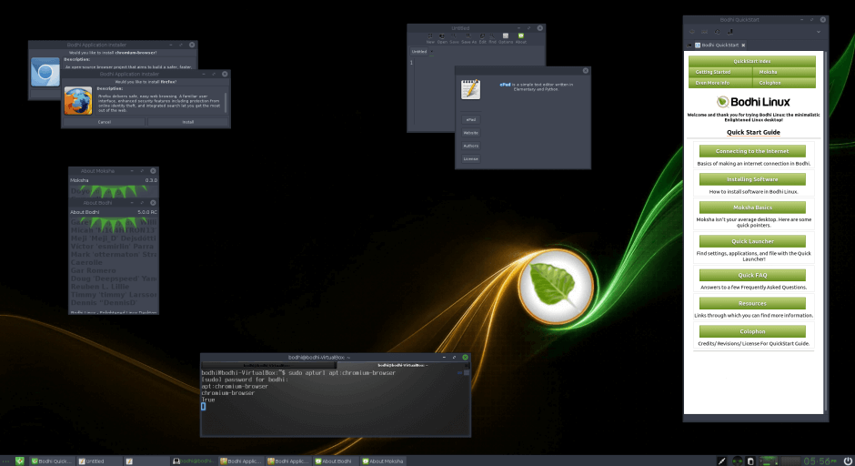 Bodhi Linux Screenshot