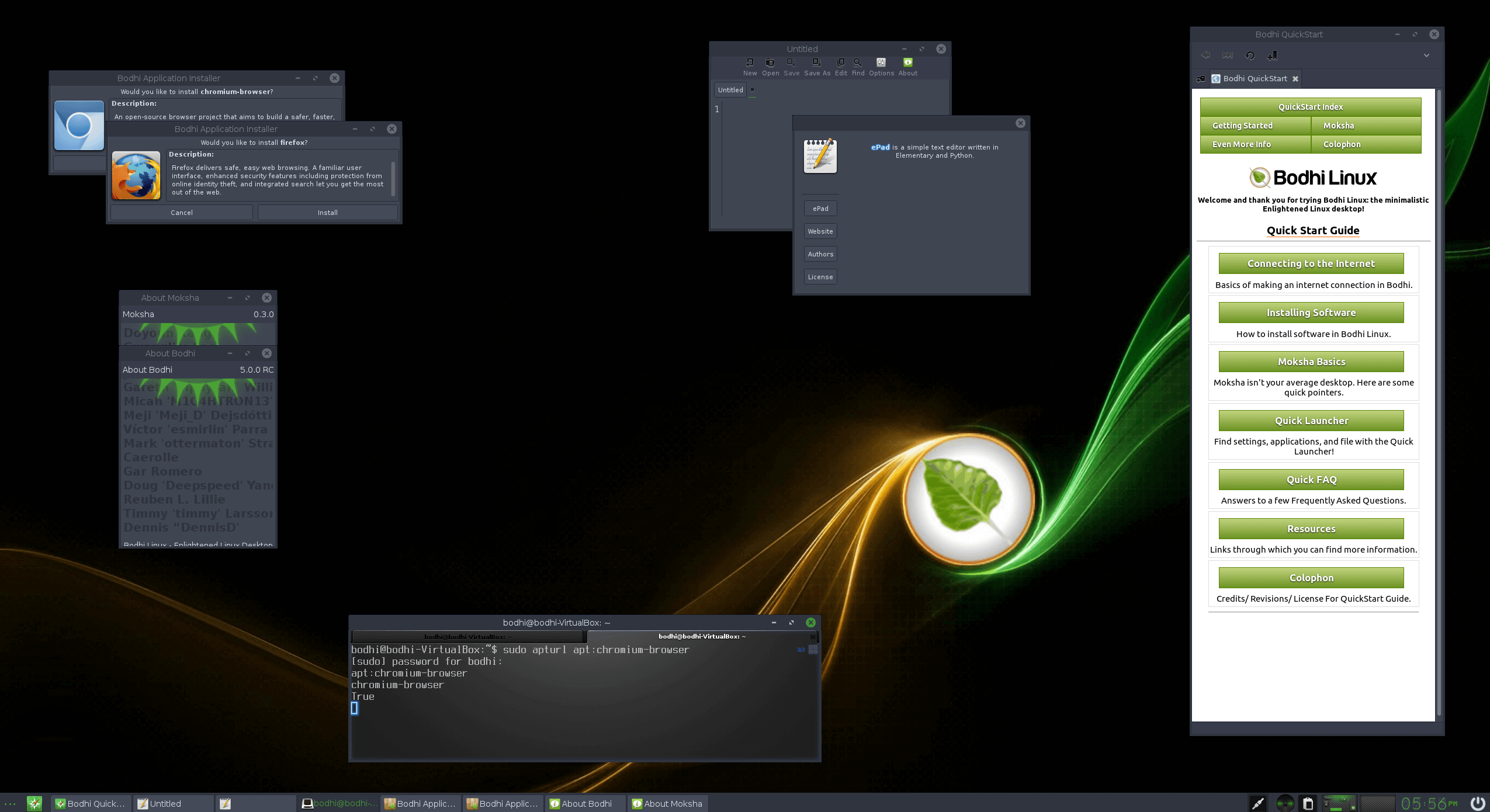 Bodhi Linux
